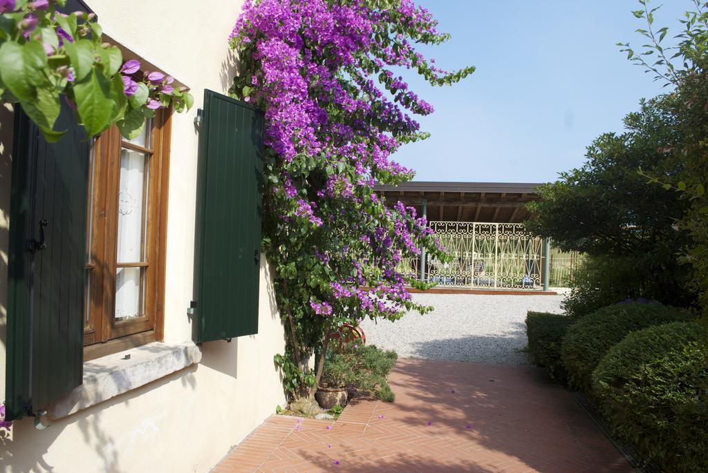 Agriturismo La Breda Guest House San Felice del Benaco Ngoại thất bức ảnh
